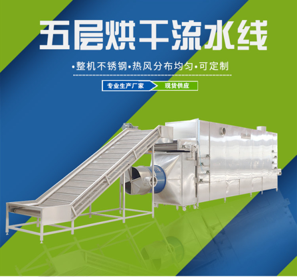 木瓜五層烘干流水線(xiàn)
